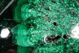Flowery Polished Malachite Specimen - DR Congo #360910-1